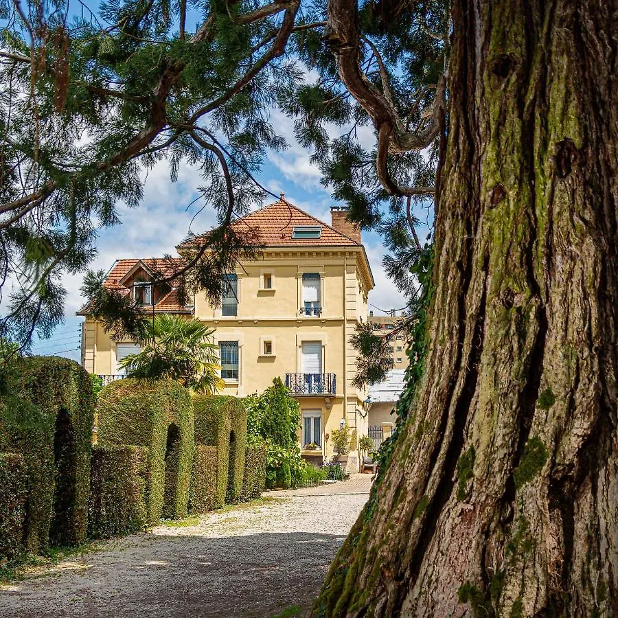 Hotel Des Dauphins Bourgoin-Jallieu